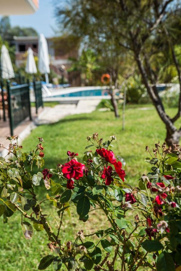 Dimas V House Aparthotel Parga Bagian luar foto