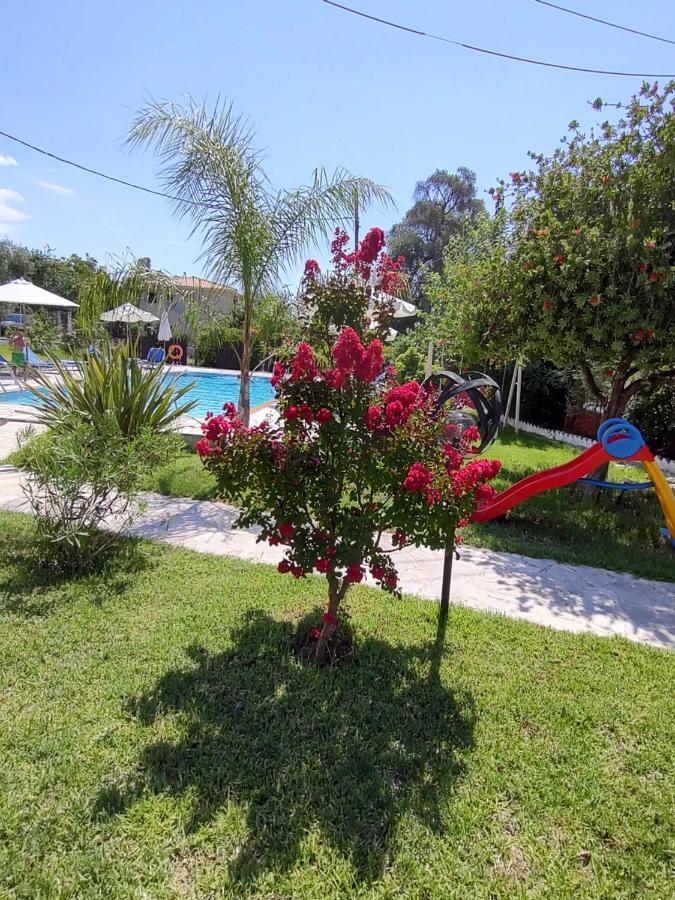 Dimas V House Aparthotel Parga Bagian luar foto