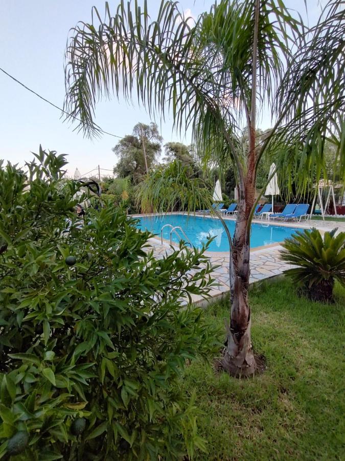 Dimas V House Aparthotel Parga Bagian luar foto