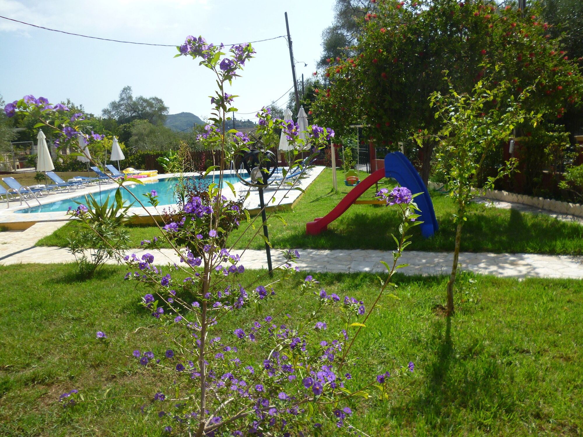 Dimas V House Aparthotel Parga Bagian luar foto